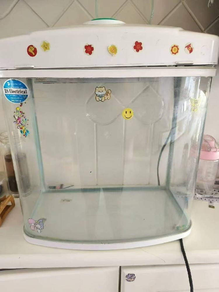 时尚休闲运动鞋