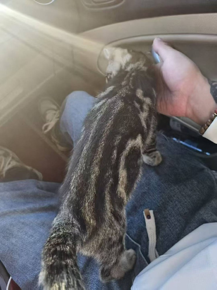 时尚休闲运动鞋