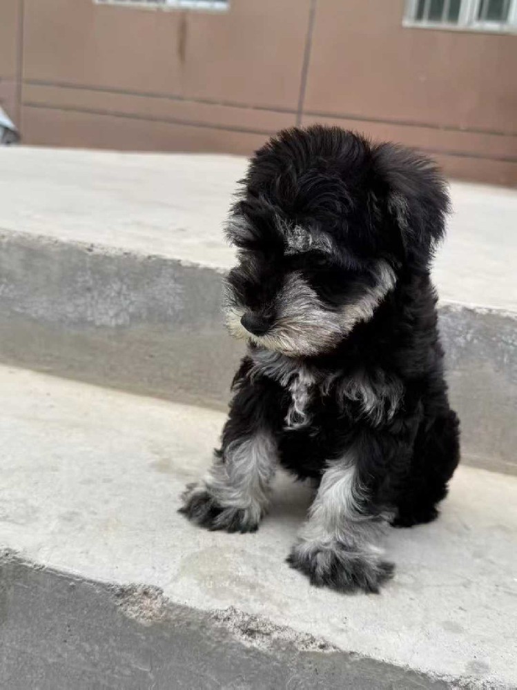 时尚休闲运动鞋