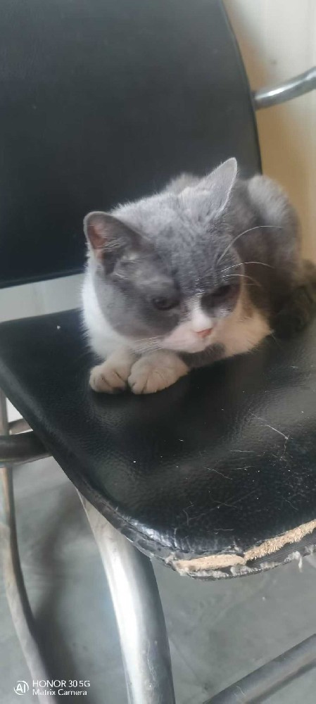 时尚休闲运动鞋