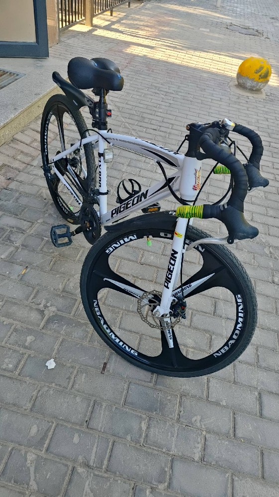 时尚休闲运动鞋