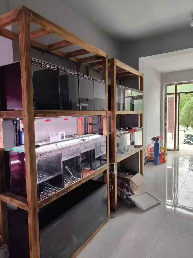 时尚休闲运动鞋