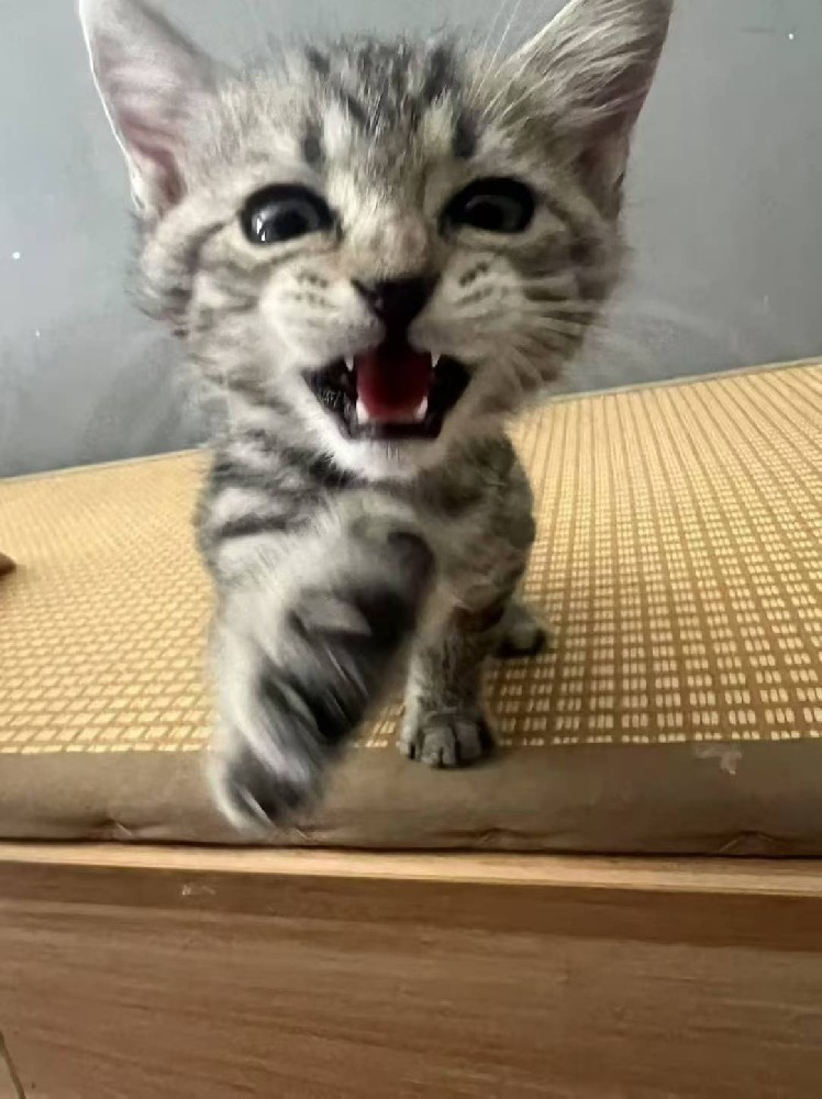 时尚休闲运动鞋