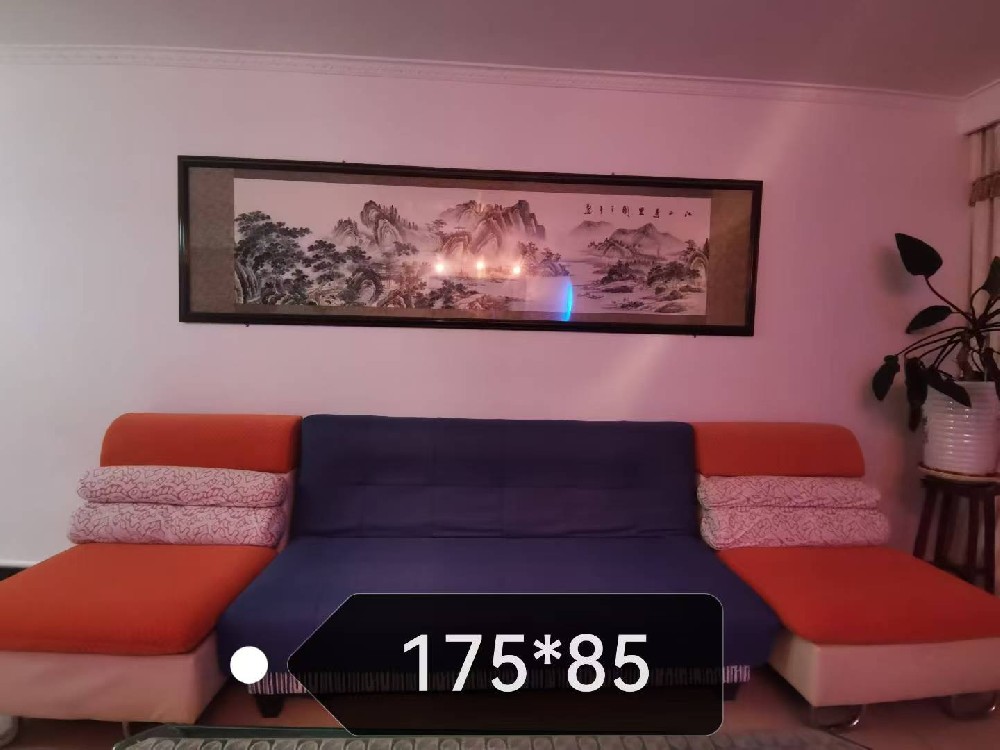 时尚休闲运动鞋