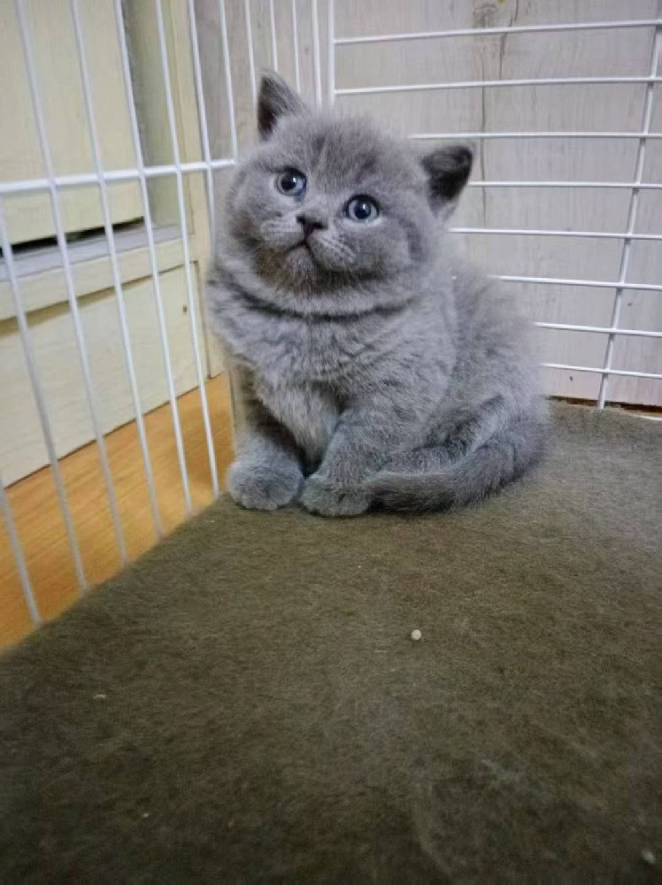 时尚休闲运动鞋