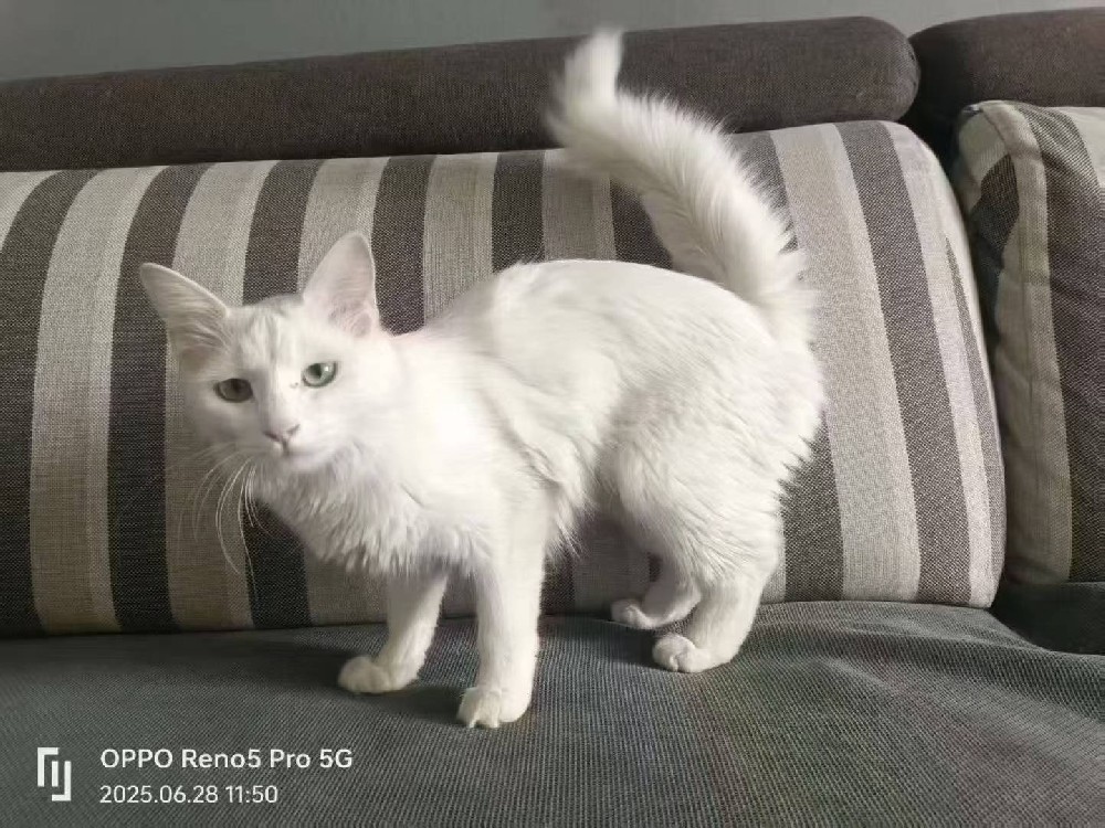 时尚休闲运动鞋