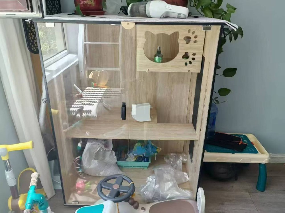 时尚休闲运动鞋