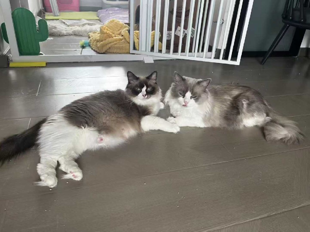 时尚休闲运动鞋