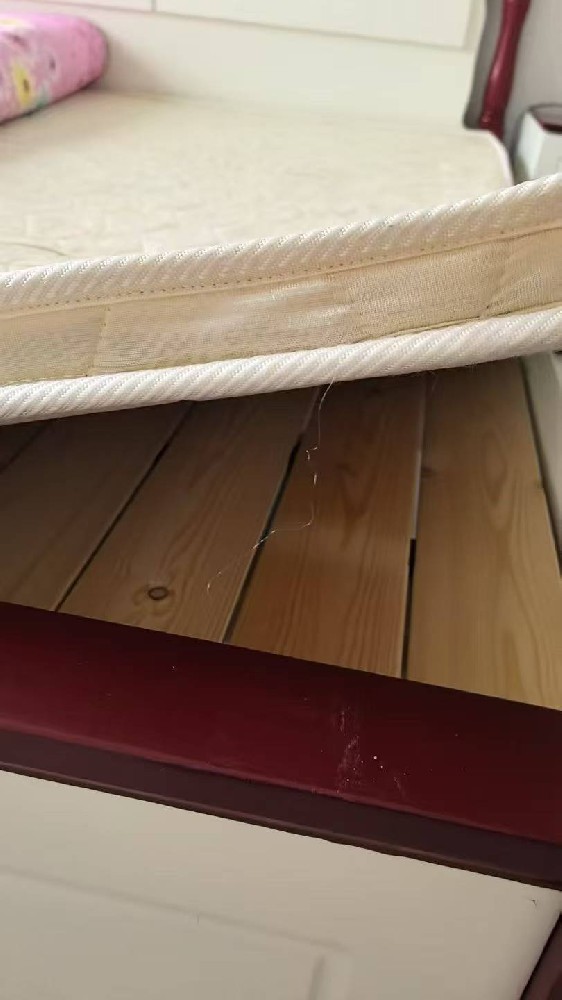 时尚休闲运动鞋