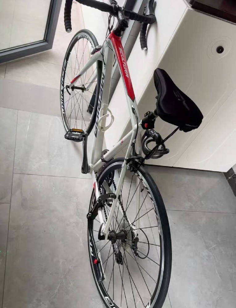 时尚休闲运动鞋